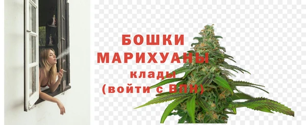 не бодяженный Ладушкин