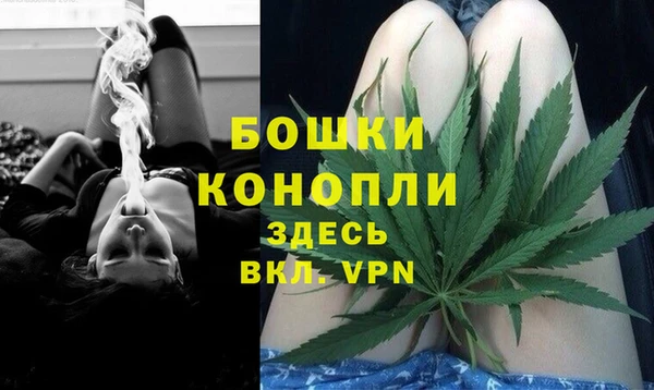 не бодяженный Ладушкин