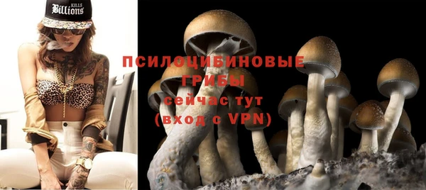 не бодяженный Ладушкин